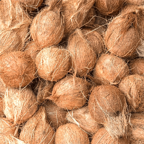 Semi Husk Coconut